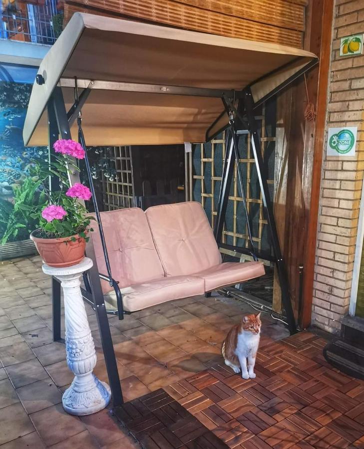 Guest House Il Limone Nascosto Roma Exterior foto